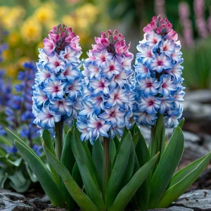 Гиацинт Пинк Мари купить по цене от 2099р. в интернет-магазине «Посадика» с доставкой почтой в в Кораблиное и по всей России – [изображение №1].